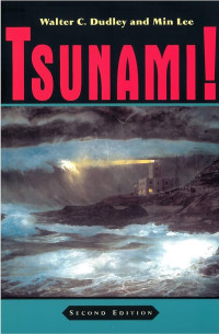 Image of TSUNAMI!